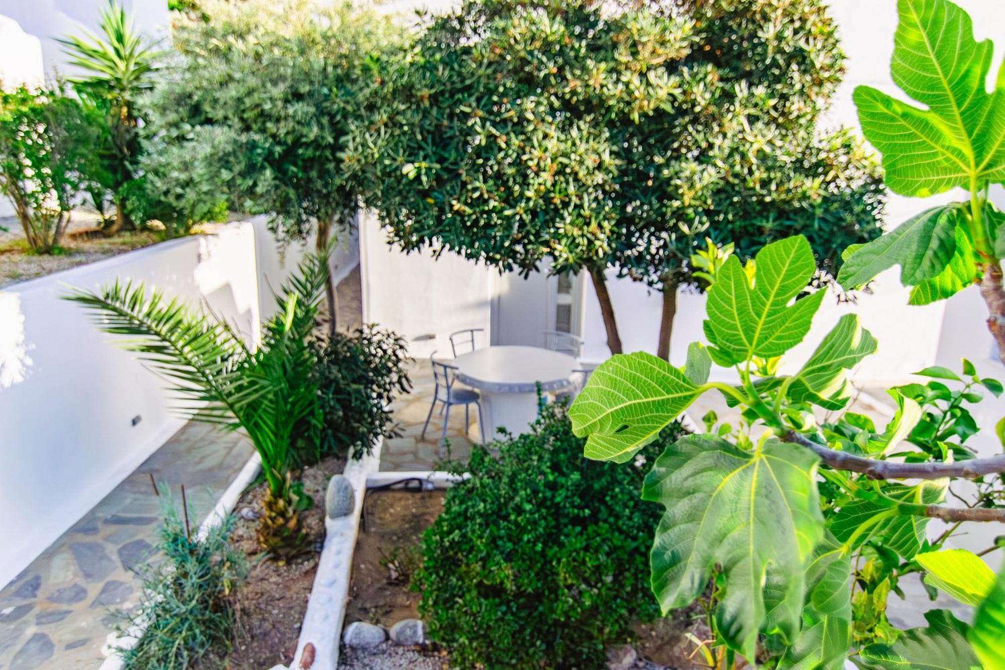 Zisis Pension Agios Stefanos  Buitenkant foto